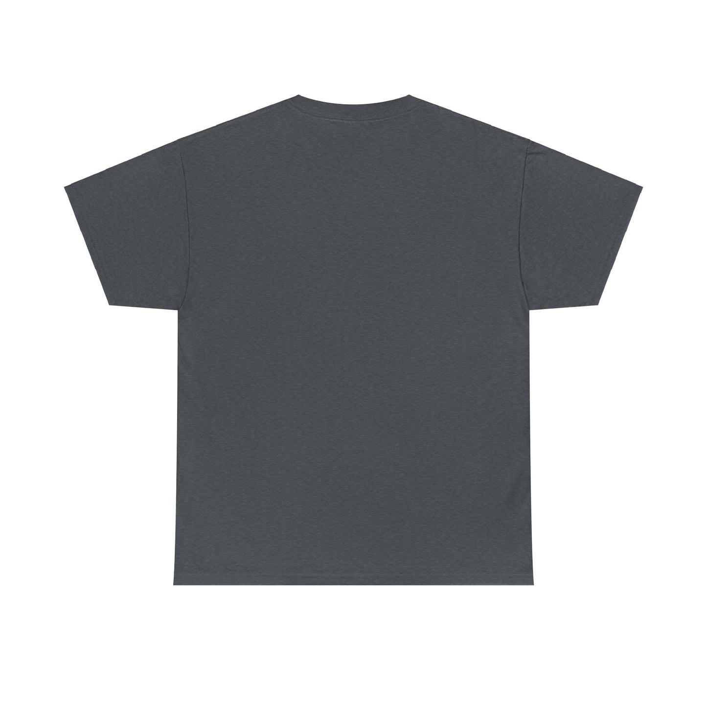 Pirate swag t-shirt - The Snarky Pirate