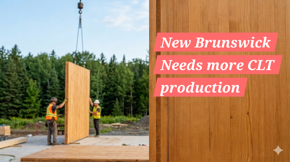 Building the Future: How Cross-Laminated Timber Can Transform New Brunswick’s Economy and Environment