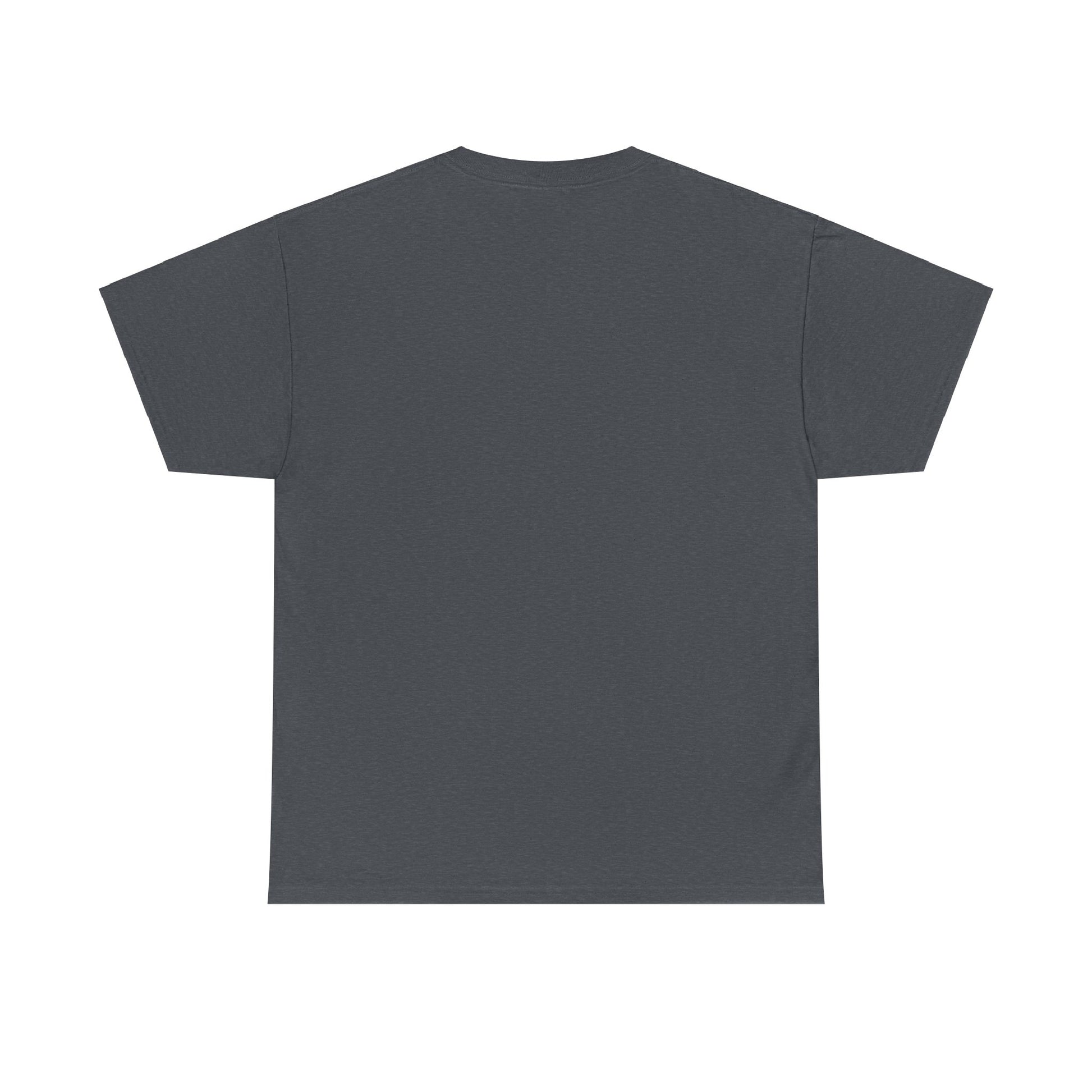 Pirate swag t-shirt - The Snarky Pirate