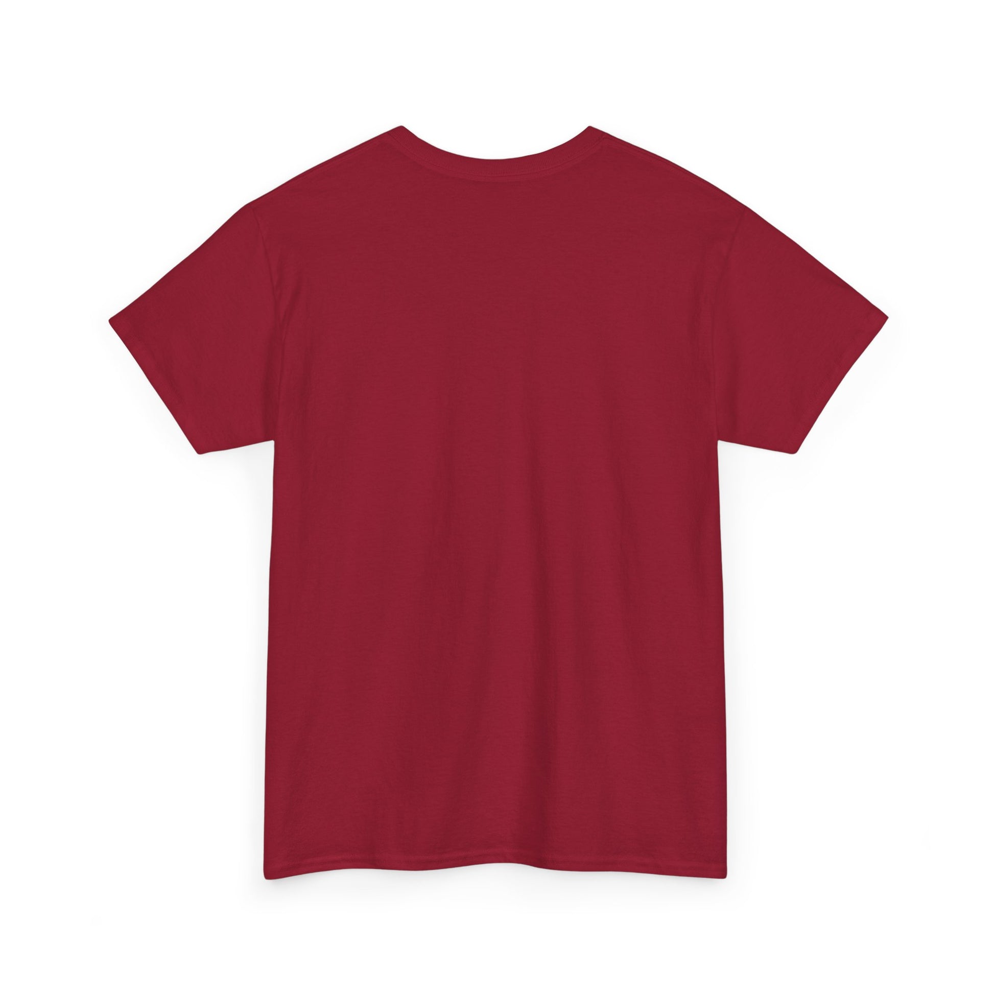 The Snarky Pirate trust no soul Unisex Tshirt - The Snarky Pirate