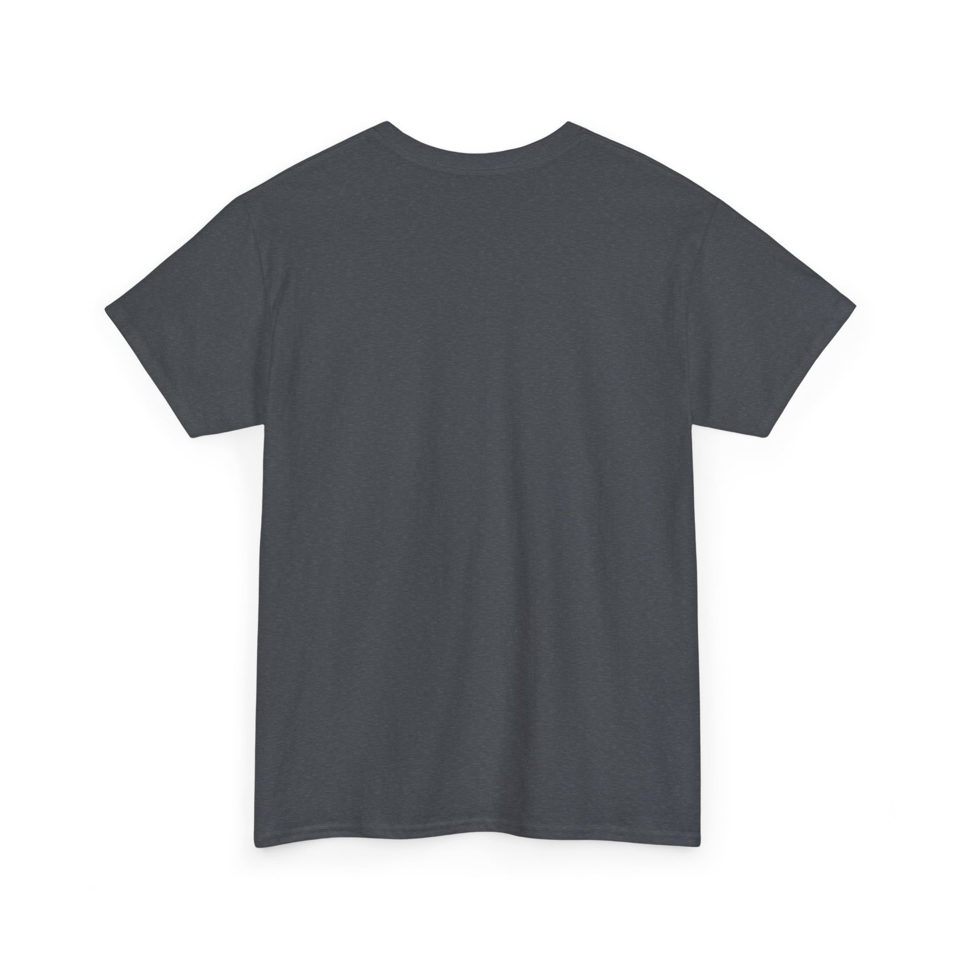 Pirate swag t-shirt - The Snarky Pirate